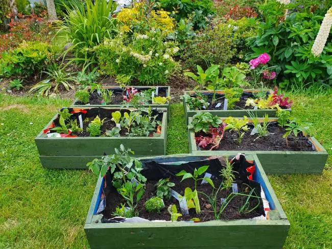 Timebank pallet boxes