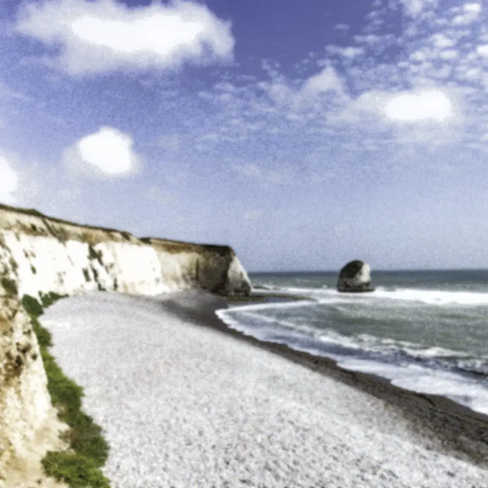 Freshwater Bay sketching image