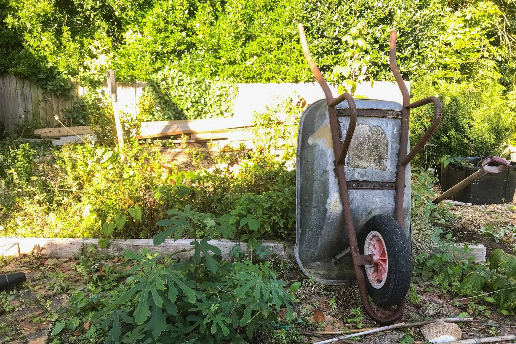 Timebank member's garden