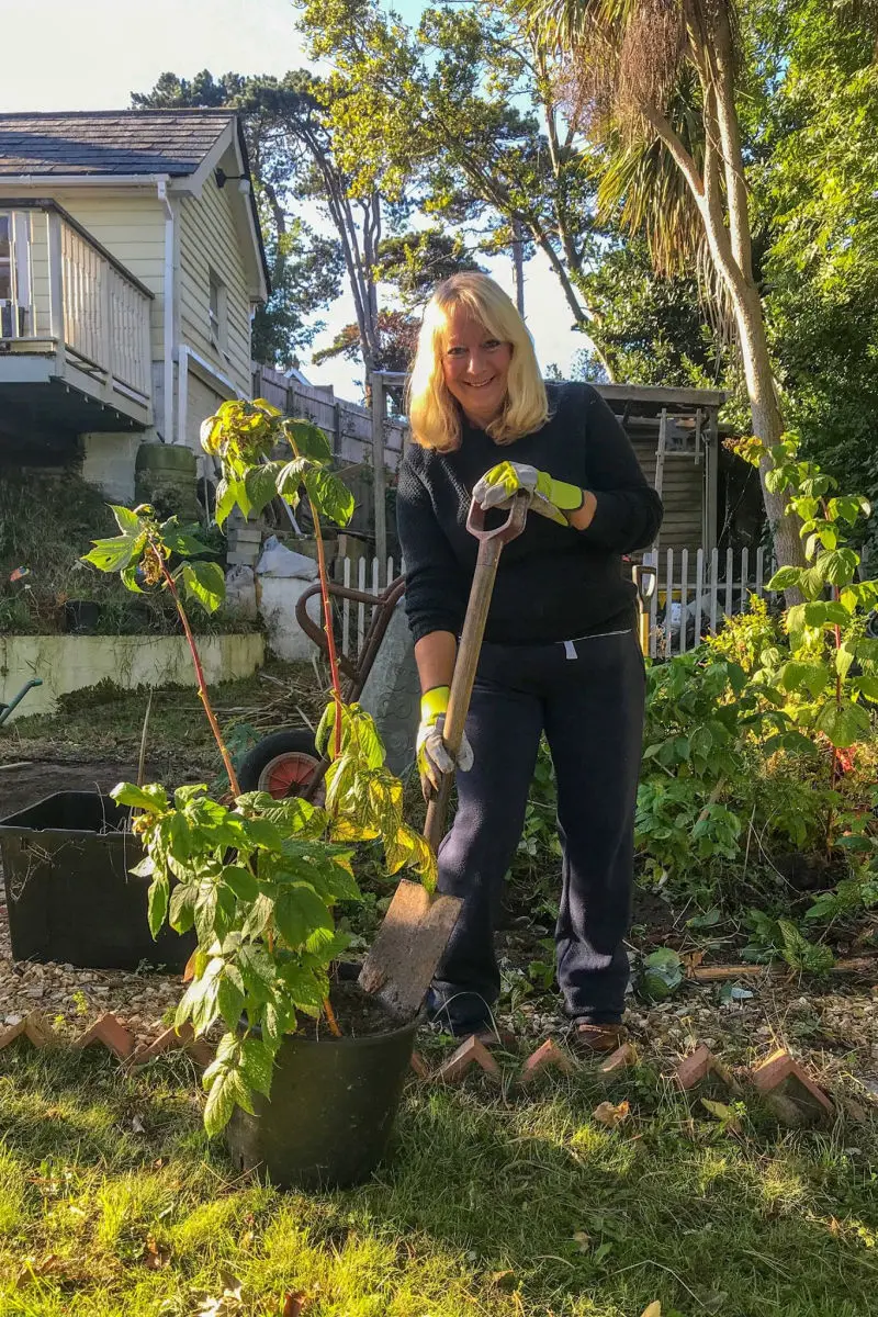 Sally repots a plant ready to be moved.