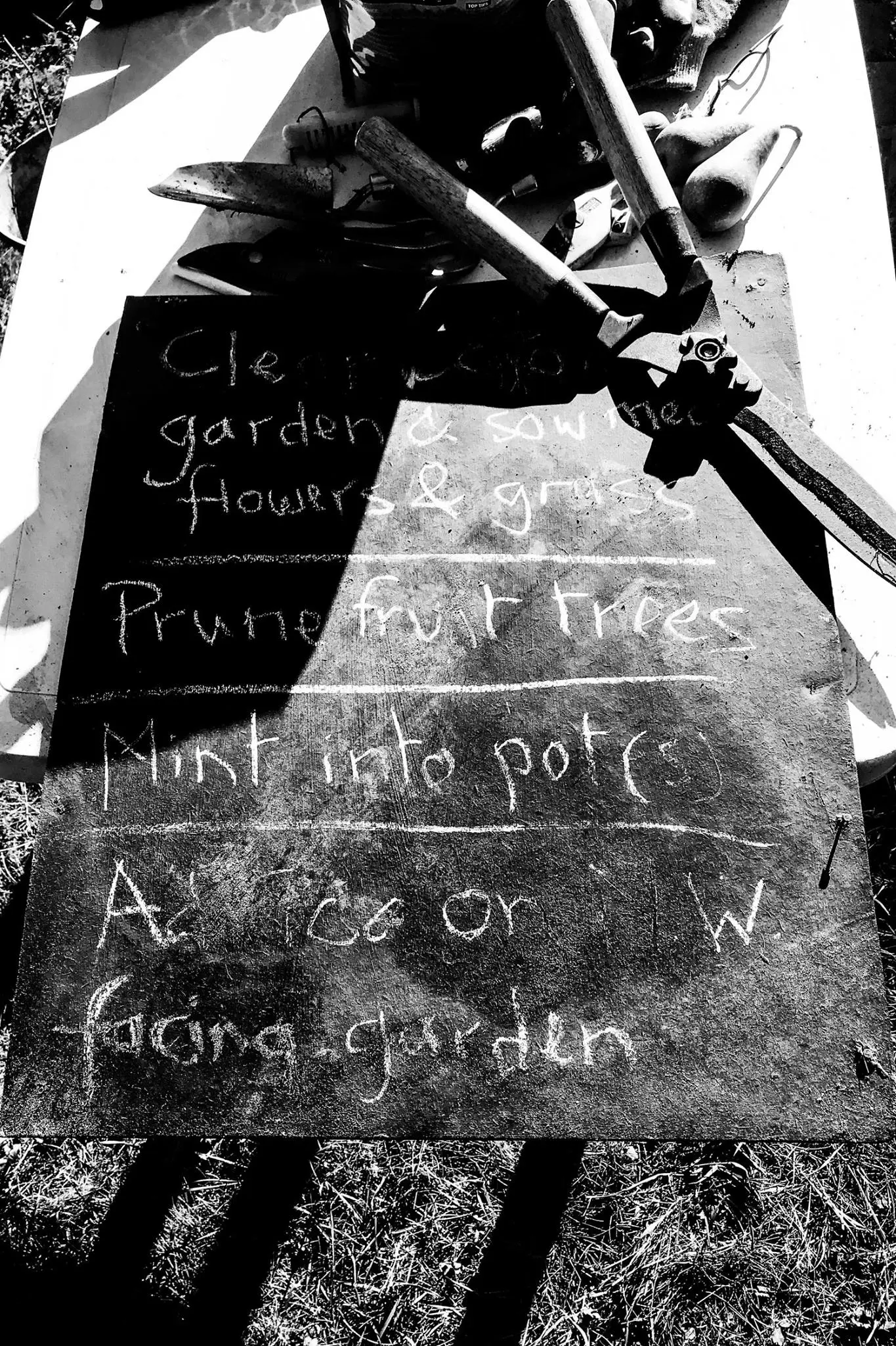 Gardening tasks to complete