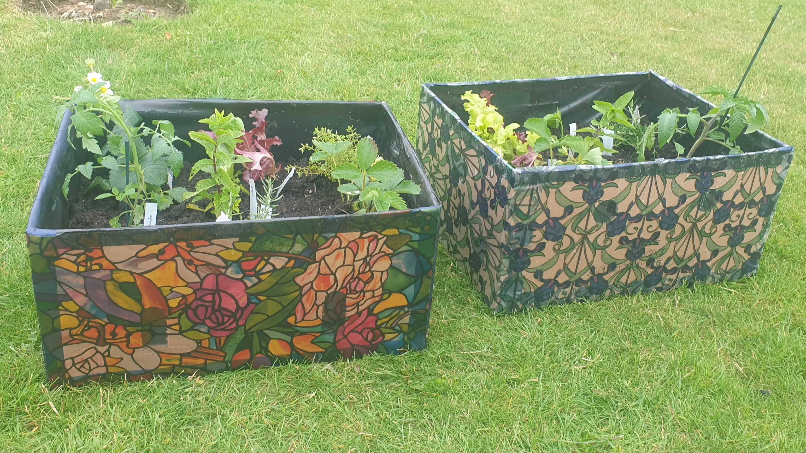 Timebank growing boxes